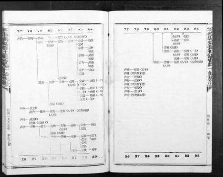 江西曾氏族谱-宁都县东鲁社溪曾氏十修族谱[不分卷].pdf电子版预览图3