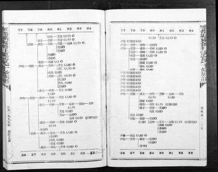 江西曾氏族谱-宁都县东鲁社溪曾氏十修族谱[不分卷].pdf电子版预览图4