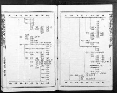 江西曾氏族谱-宁都县东鲁社溪曾氏十修族谱[不分卷].pdf电子版预览图5