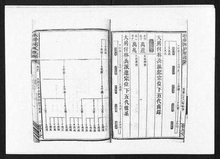 湖南陈氏族谱-扶彝陈氏族谱.pdf电子版预览图2