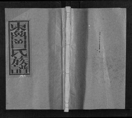 江西曾氏族谱-东鲁曾氏士祖九修族谱.pdf电子版缩略图