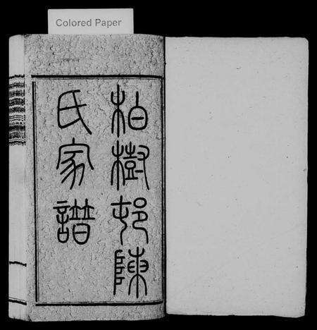 湖南陈氏族谱-柏树邨陈氏家谱 [14章].pdf电子版预览图1