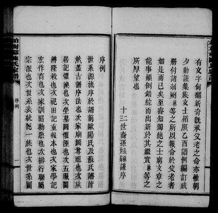 湖南陈氏族谱-柏树邨陈氏家谱 [14章].pdf电子版预览图5