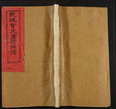 江西曾氏族谱-武城曾氏宗谱.pdf电子版缩略图