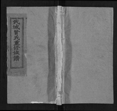 江西曾氏族谱-武城曾氏宗谱[不分卷].pdf电子版缩略图