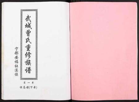 江西曾氏族谱-武城曾氏重修族谱.pdf电子版预览图2