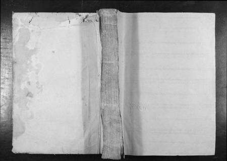 江西曾氏族谱-泸江曾氏重修族谱[不分卷].pdf电子版缩略图