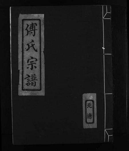 浙江傅氏族谱-傅氏宗谱.pdf电子版缩略图