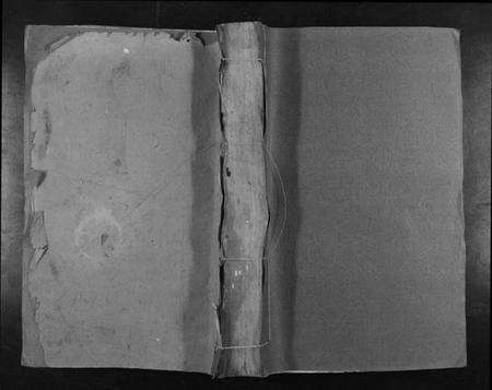 江西曾氏族谱-西昌下泽曾氏族谱[不分卷].pdf电子版缩略图