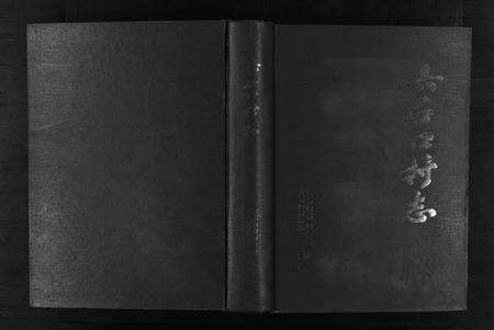 浙江许氏族谱-六石口村志.pdf电子版缩略图