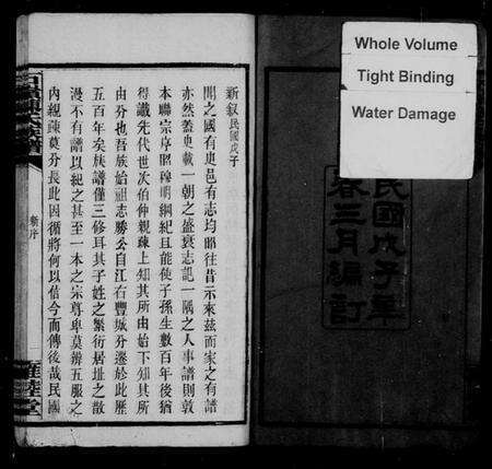 湖南陈氏族谱-石岭陈氏族谱 [70卷,附谱1卷].pdf电子版预览图3