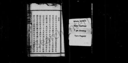 湖南陈氏族谱-义门陈氏支谱 [26卷,及卷首].pdf电子版预览图1