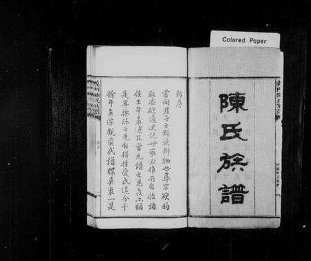 湖南陈氏族谱-义门陈氏族谱 [10卷,首3卷].pdf电子版预览图2