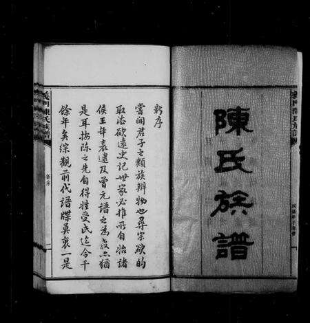 湖南陈氏族谱-义门陈氏族谱 [10卷,首3卷].pdf电子版预览图3