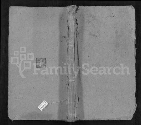 湖南陈氏族谱-虎潭陈氏族谱 [18卷,首尾各3卷,末1卷].pdf电子版缩略图