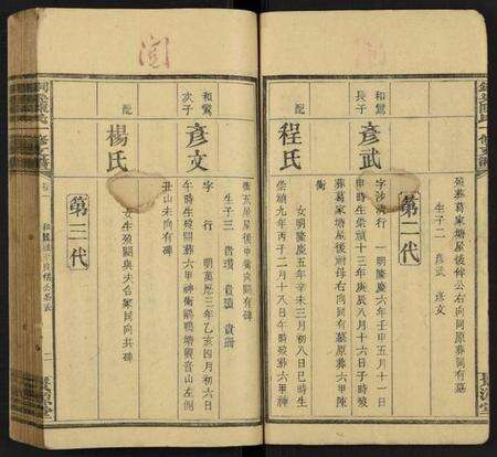 湖南陈氏族谱-铜梁陈氏一修支谱 [3卷及卷首3卷].pdf电子版预览图2