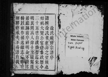 浙江徐氏族谱-剡东徐氏宗谱 [5卷].pdf电子版预览图1