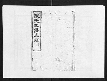 湖南陈氏族谱-陈氏三修支谱[14卷].pdf电子版缩略图