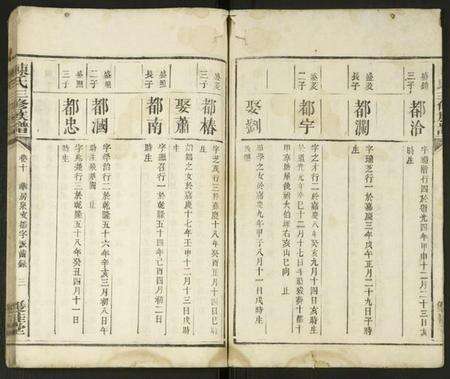 湖南陈氏族谱-陈氏三修族谱 [残卷].pdf电子版预览图2