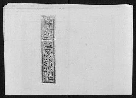 湖南陈氏族谱-陈氏二房族谱.pdf电子版缩略图