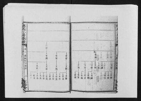 湖南陈氏族谱-陈氏二房族谱.pdf电子版预览图2