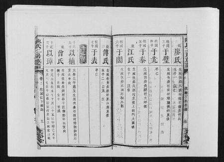 湖南陈氏族谱-陈氏二房族谱.pdf电子版预览图5