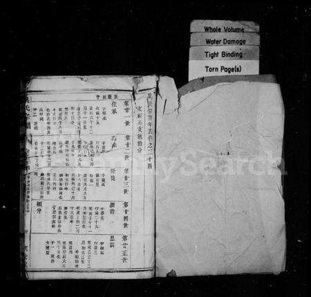 中国巢氏族谱-巢氏宗谱.pdf电子版预览图1