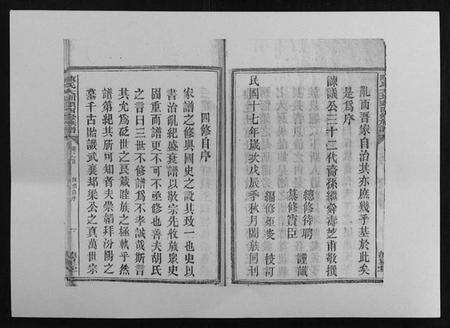 湖南陈氏族谱-陈氏大圳头四修族谱[8卷].pdf电子版预览图4