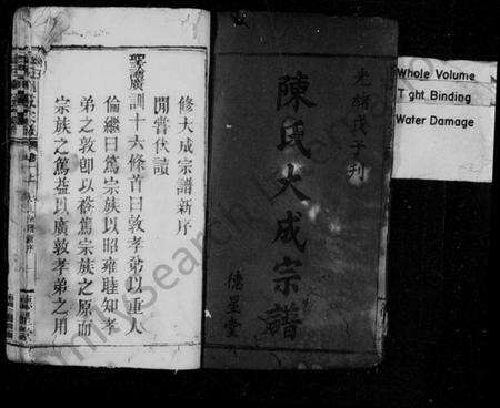 湖南陈氏族谱-陈氏大成宗谱 [33卷,首1卷].pdf电子版预览图2