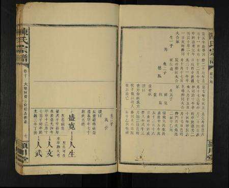 湖南陈氏族谱-陈氏宗谱 [残7卷].pdf电子版预览图3