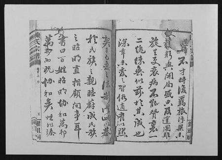 湖南陈氏族谱-陈氏宗谱[139卷].pdf电子版预览图5