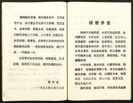 湖北陈氏族谱-陈氏宗谱.pdf电子版预览图4