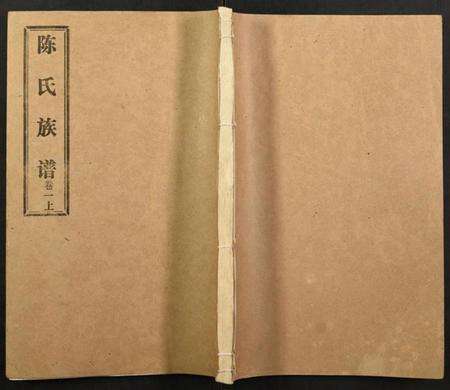 湖北陈氏族谱-陈氏族谱.pdf电子版缩略图