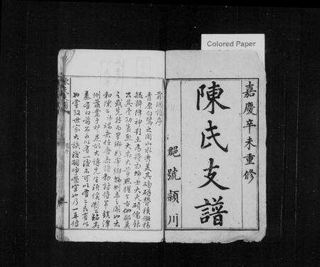 湖南陈氏族谱-陈氏支谱 [卷数不详].pdf电子版预览图1