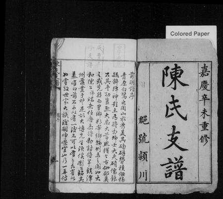 湖南陈氏族谱-陈氏支谱 [卷数不详].pdf电子版预览图2