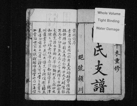 湖南陈氏族谱-陈氏支谱 [卷数不详].pdf电子版预览图3