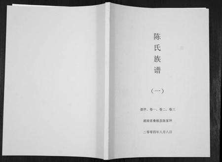 湖南陈氏族谱-陈氏族谱.pdf电子版缩略图