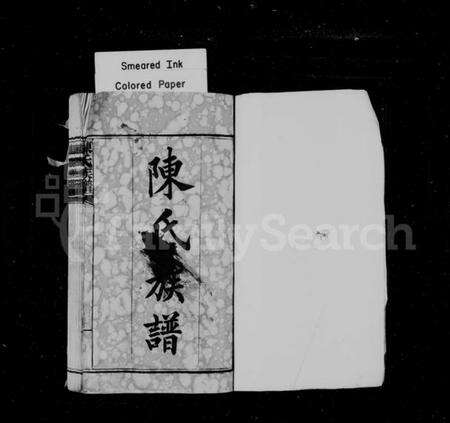 湖南陈氏族谱-陈氏族谱 [17卷,首4卷,末1卷].pdf电子版缩略图