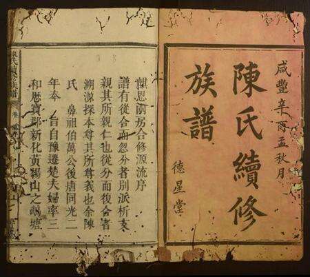 湖南陈氏族谱-陈氏续修族谱.pdf电子版缩略图