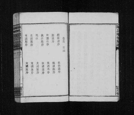 湖南陈氏族谱-陈氏续修族谱 [残卷].pdf电子版预览图5