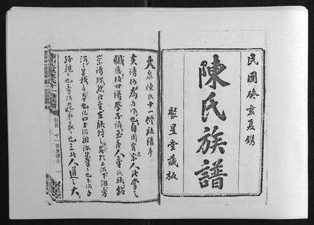 湖南陈氏族谱-鵆山大泉陈氏十一修族谱[43卷首1卷].pdf电子版缩略图