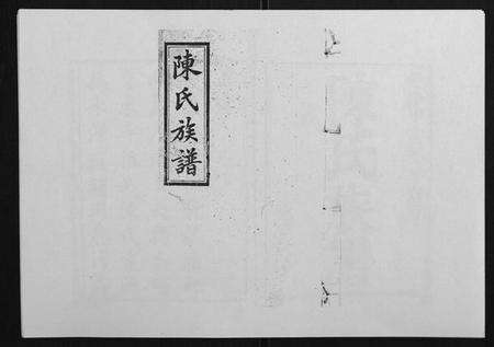 湖南陈氏族谱-龙溪陈氏族谱[2卷首末各1卷].pdf电子版缩略图