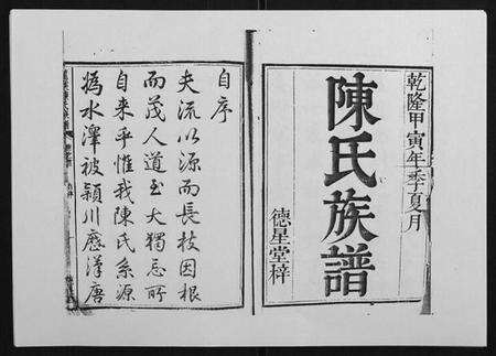 湖南陈氏族谱-龙溪陈氏族谱[2卷首末各1卷].pdf电子版预览图1