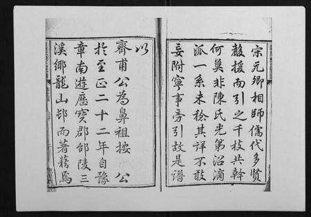 湖南陈氏族谱-龙溪陈氏族谱[2卷首末各1卷].pdf电子版预览图2