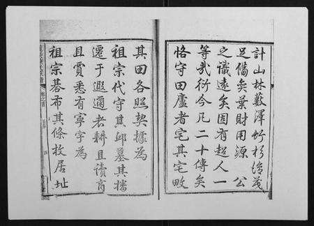 湖南陈氏族谱-龙溪陈氏族谱[2卷首末各1卷].pdf电子版预览图4