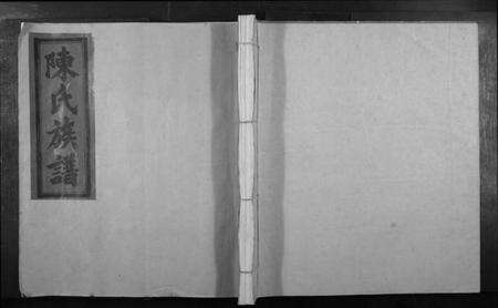 江西陈氏族谱-信丰陈嘉会公派下七修玉碟[不分卷].pdf电子版缩略图