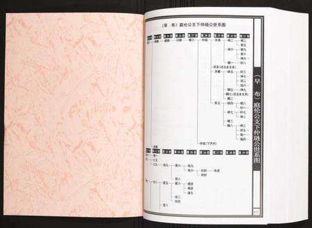 江西陈氏族谱-宜春庄江西江西宜春陈氏族谱.pdf电子版预览图1