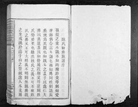 江西陈氏族谱-寻邬图岭陈氏初修族谱.pdf电子版预览图1