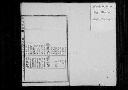 湖南谌氏族谱-谌氏族谱[残卷].pdf电子版预览图1