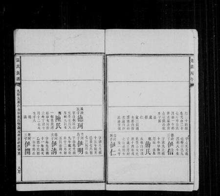 湖南谌氏族谱-谌氏族谱[残卷].pdf电子版预览图2